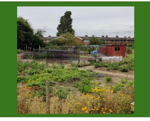 link to Allotments